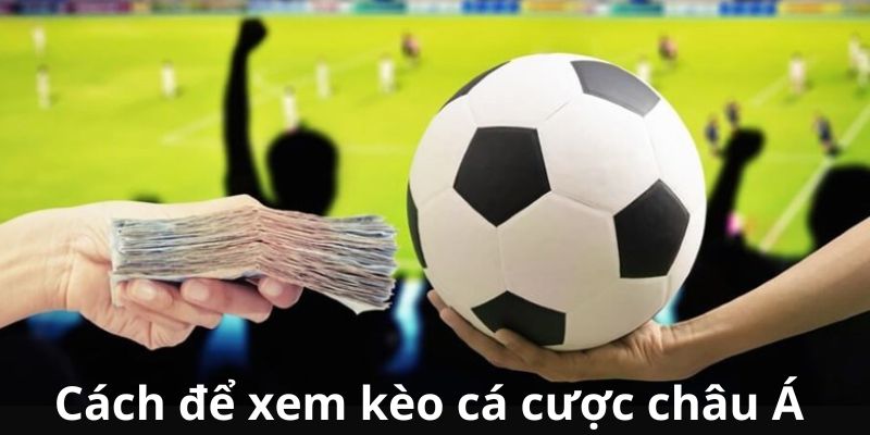 Cách để xem kèo cá cược châu Á 